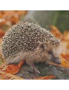 Servietter med pindsvin