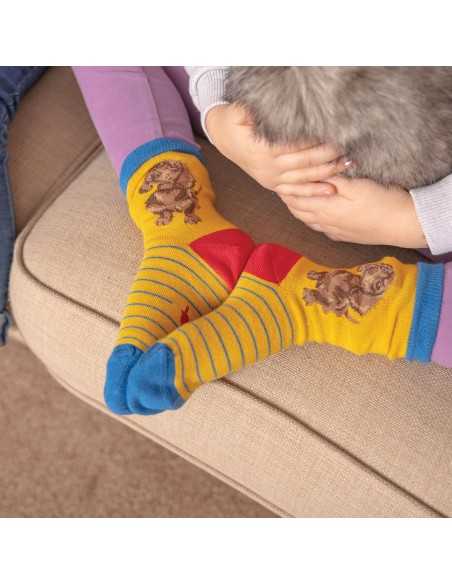 Wrendale bambus sokker Gravhund - Børn 23-26 Wrendale bambus sokker Gravhund - Børn 23-26