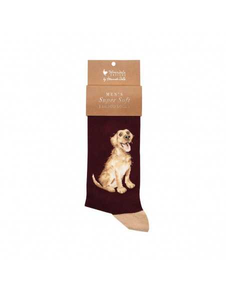 Wrendale bambus sokker med Golden Labrador - Herre