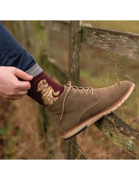 Wrendale bambus sokker med Golden Labrador - Herre