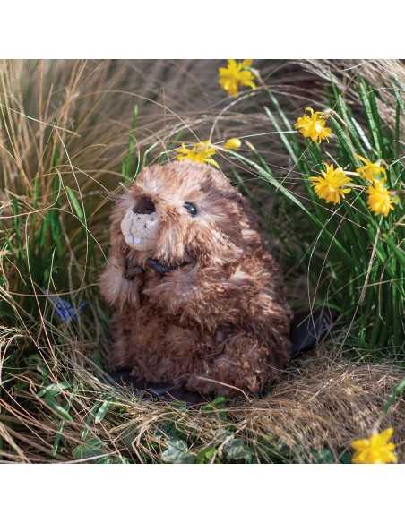 Wrendale Bæver bamse, Chester - Medium