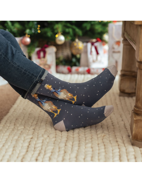 Wrendale bambus julesokker med And - Herre