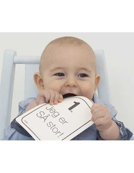 Milepælskort med bondegård