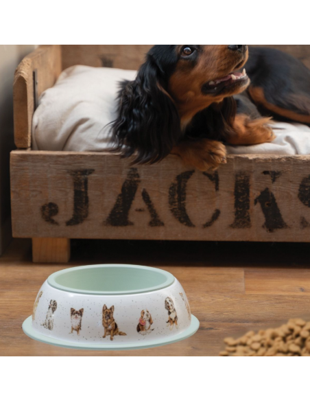 Hundeskål - Wrendale Design Hundeskål - Wrendale Design