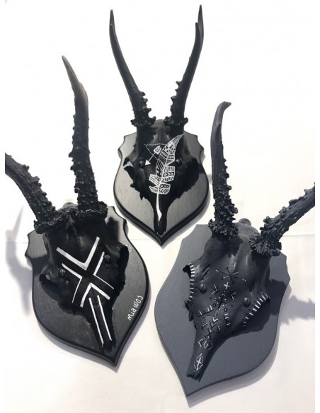 Skulls med fjer Skulls med fjer