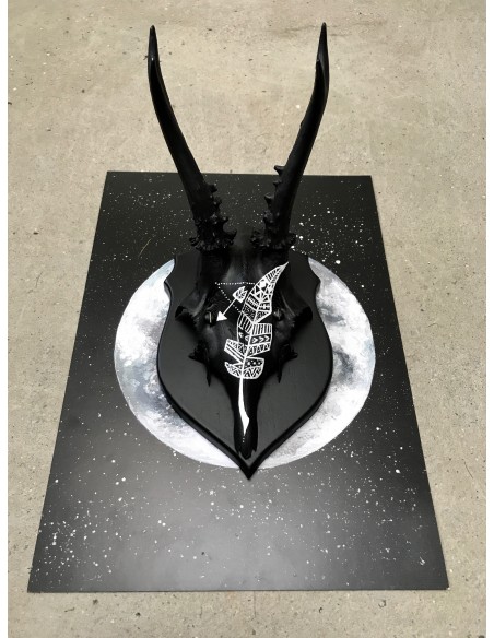 Skulls med fjer Skulls med fjer