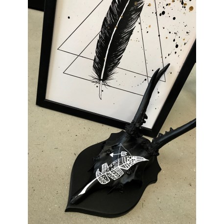 Skulls med fjer Skulls med fjer