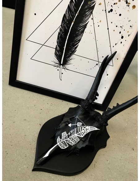 Skulls med fjer Skulls med fjer