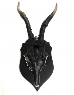 Bukkeopsats black spot