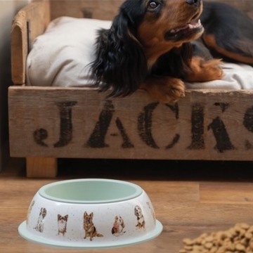 🐶 𝗡𝘆𝗵𝗲𝗱 𝗽å 𝘄𝗲𝗯𝘀𝗵𝗼𝗽𝗽𝗲𝗻 𝘁𝗶𝗹 𝗱𝗲 𝗳𝗶𝗿𝗯𝗲𝗻𝗲𝗱𝗲 🐶Se lige de flotte hundeskåle fra engelske Wrendale 👌🏻 elegant og samtidig praktisk.Pris 180,-Læs mere og bestil den her 👉🏻 https://vildtshop.dk/module/iqitsearch/searchiqit?s=Hundeskål#wrendale #wrendaledesign #hundeskål #wrendalehundeskål